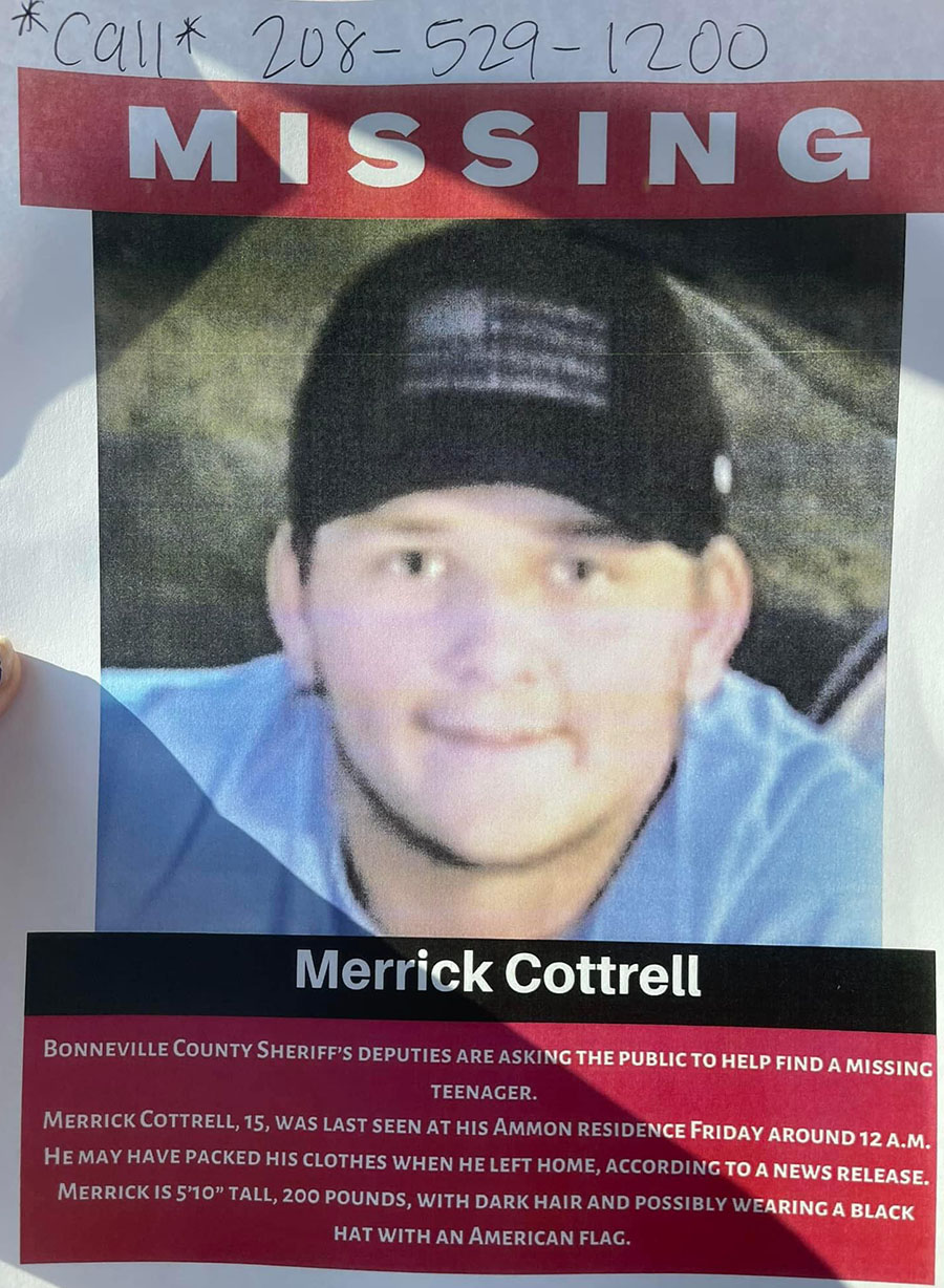 poster of Merrick