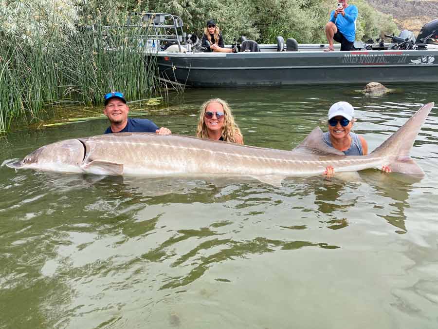 Idaho reservoir produces third record catch this summer - Vimarsana News