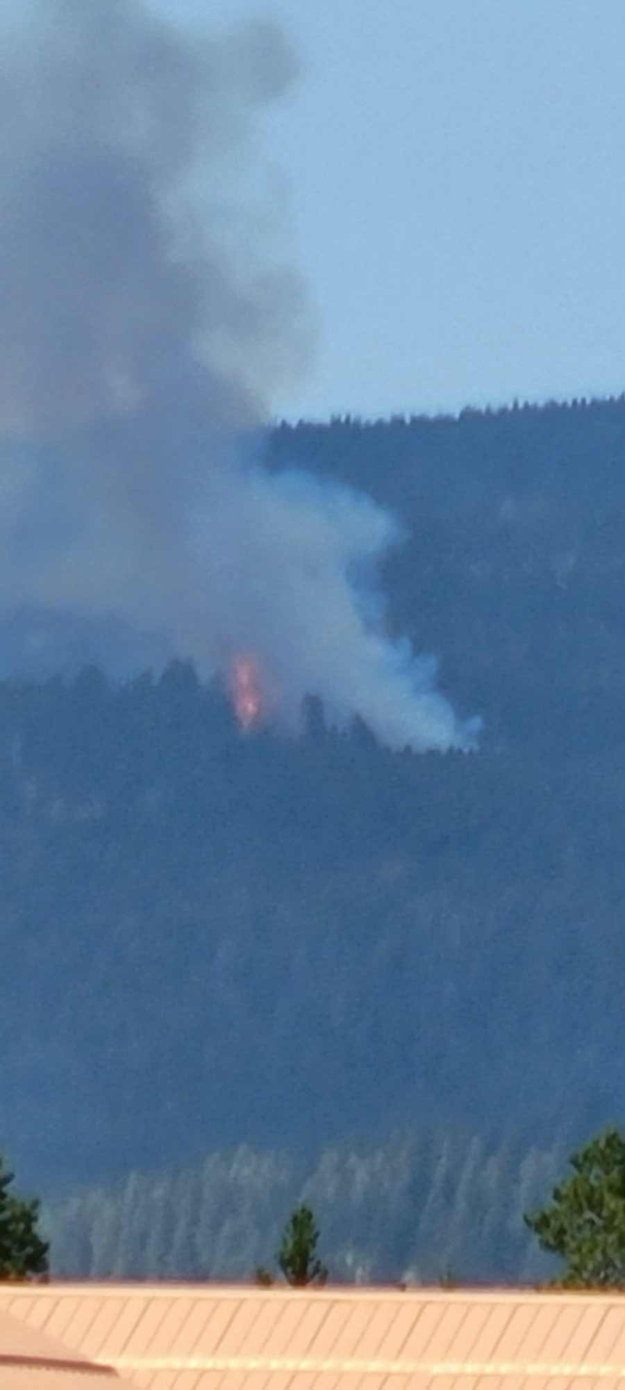 sawtell fire