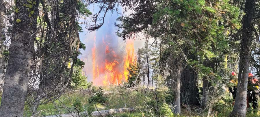 Gallery: Photos from the Sawtelle Peak fire in Island Park - Vimarsana News