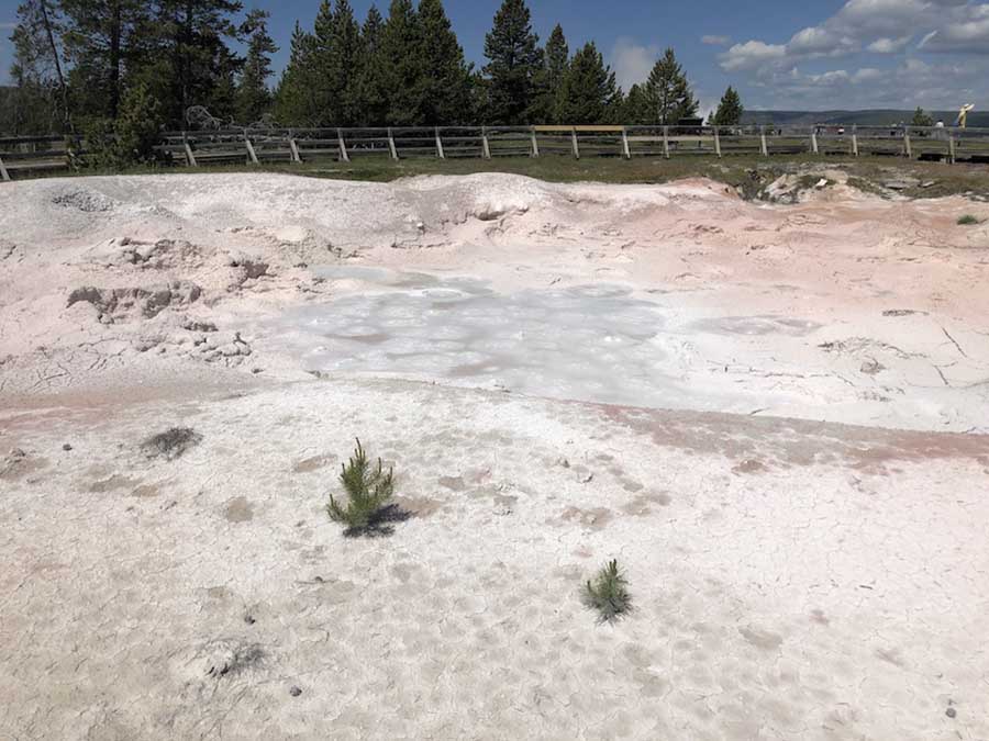 yellowstone hot spring