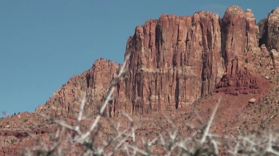 Rescue crews searching for missing hiker in Zion National Park following flash flooding - Vimarsana News