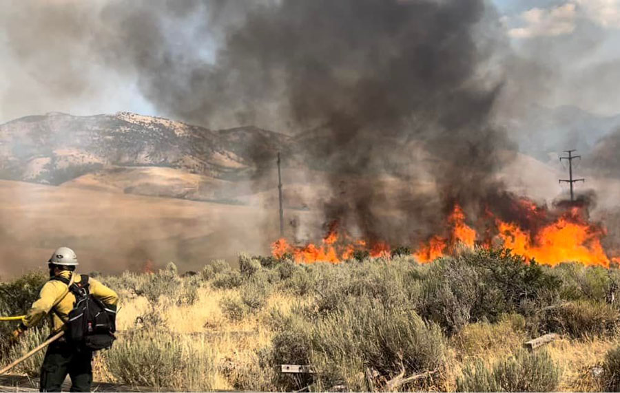 Wildfire burning alongside Interstate 15 has burned 150 acres in less than 3 hours - Vimarsana News