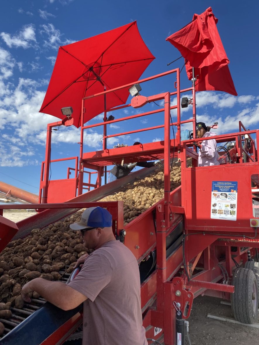 SpudPicking