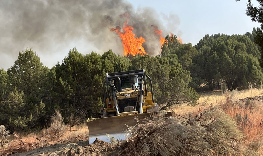 Pocatello wildfire fuel mitigation project begins - Vimarsana News