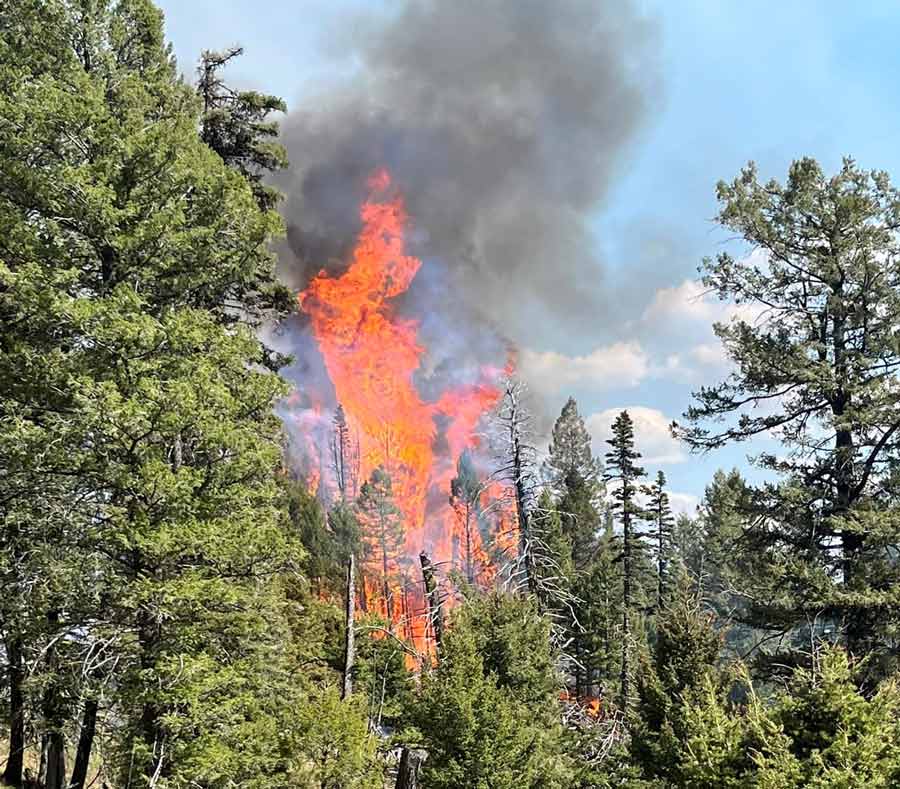 Sawtell Peak Fire 60% contained - East Idaho News - Vimarsana News