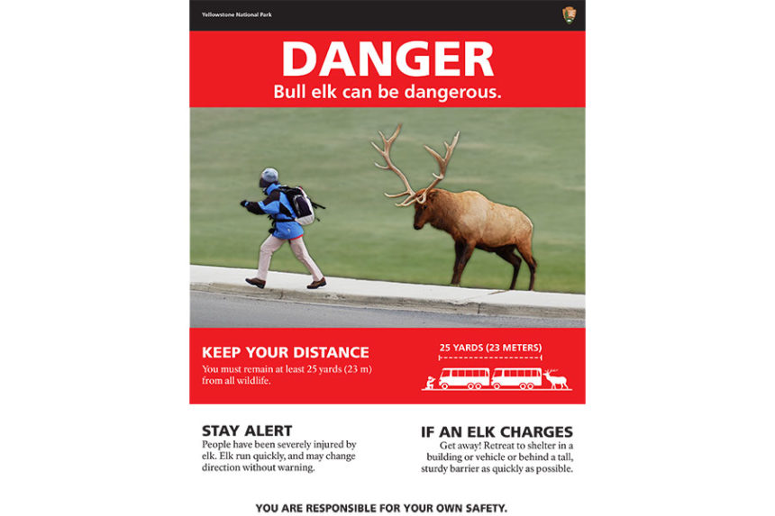 elk poster