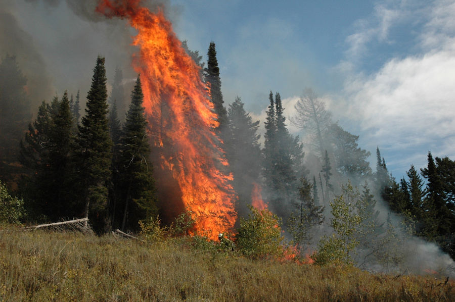 10 tips for hunters during fire season - East Idaho News - Vimarsana News