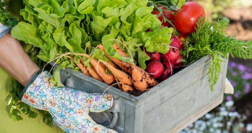 fresh produce
