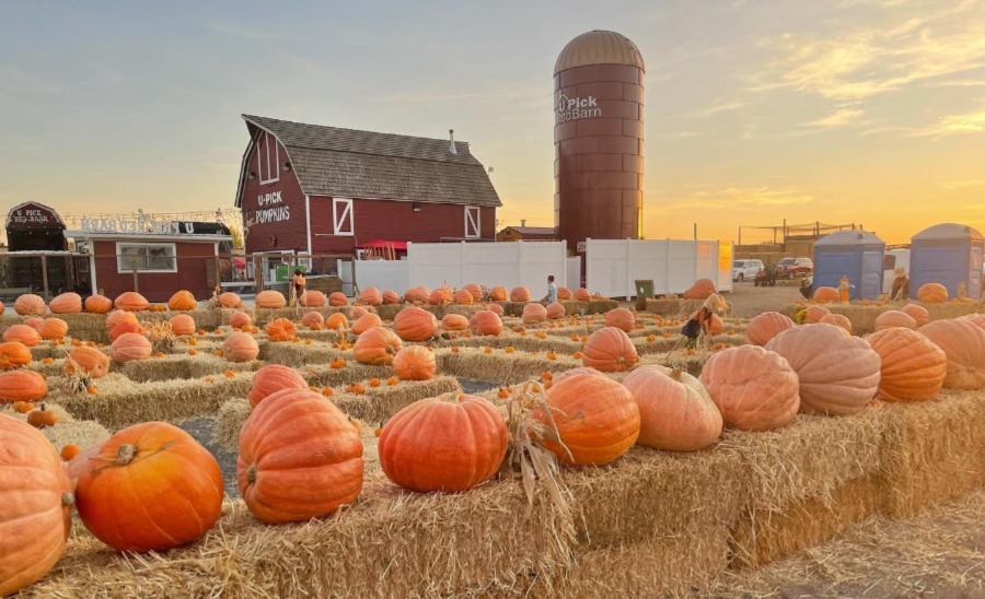 UPick Red Barn to throw Opening Day Party East Idaho News