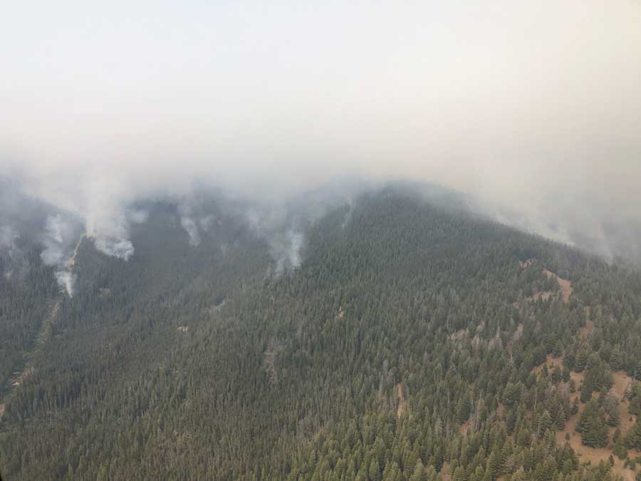 Unsafe flying conditions ground helicopters battling the 127,500-acre Moose Fire - Vimarsana News