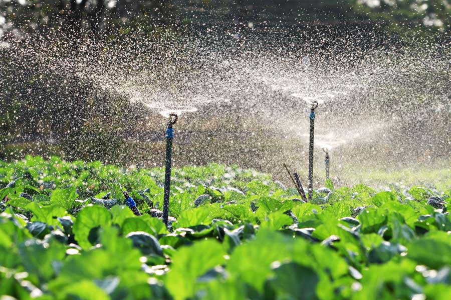 Ranchers seek to intervene in Idaho-US water rights fight - Vimarsana News