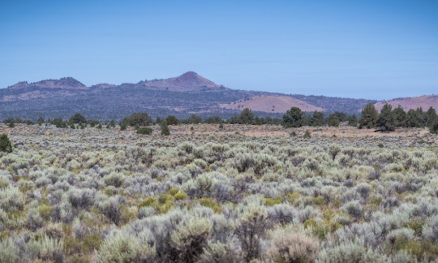 US changes names of nearly 650 places with racist term for Native women - Vimarsana News