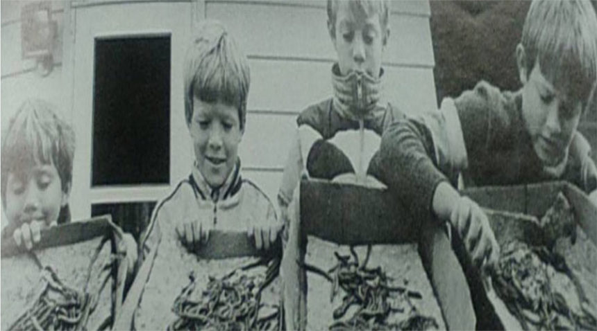 Local Ammon boys wanted to earn some extra cash by selling worms