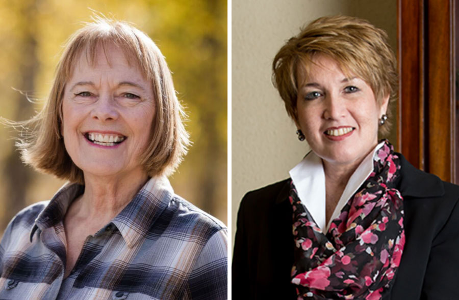 In race for Idaho's treasurer, an accountant returns to challenge the incumbent - Vimarsana News