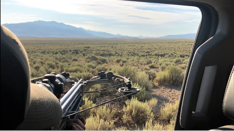 Extensive investigation spanning six counties results in five men facing over 50 wildlife charges - Vimarsana News