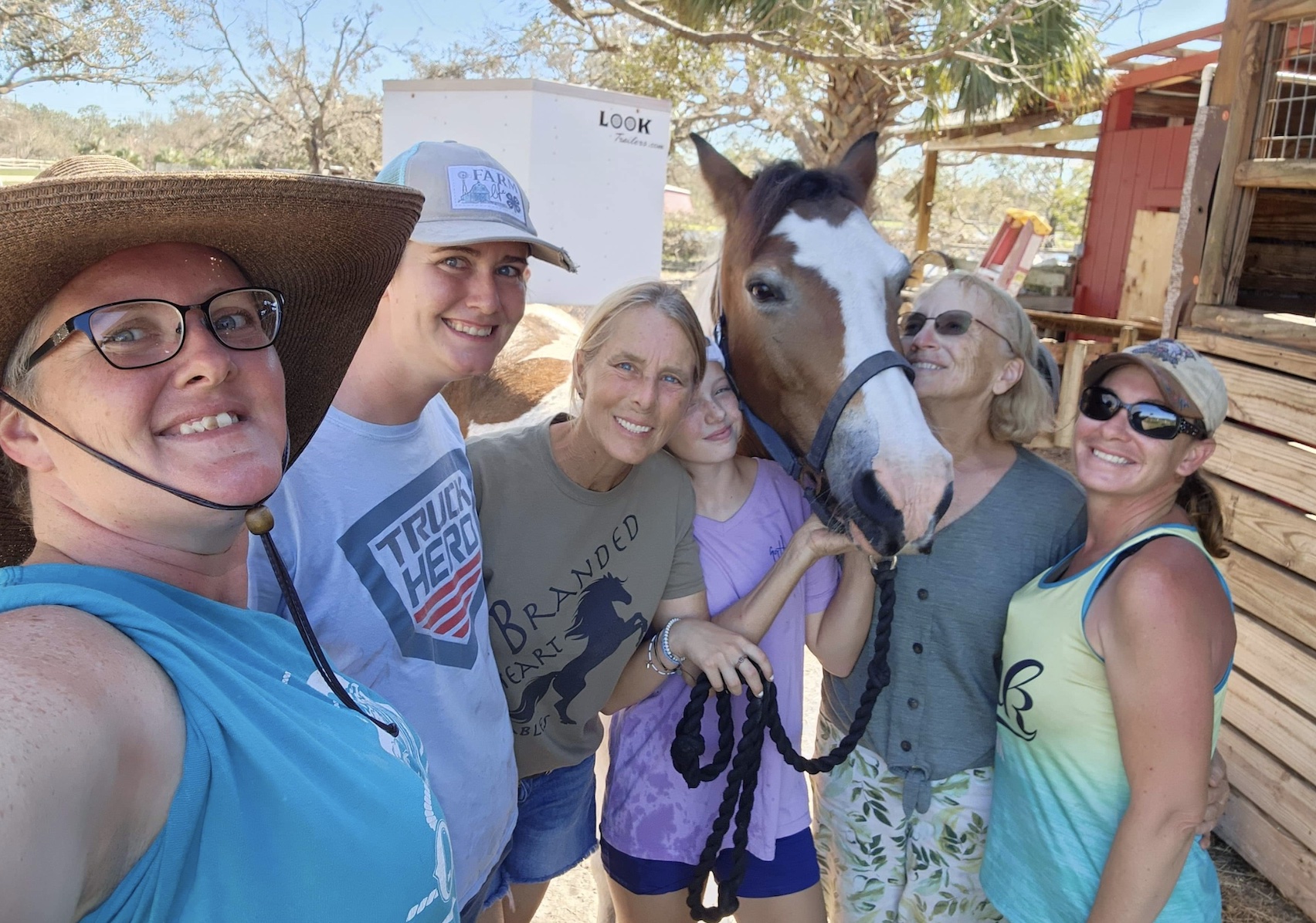 Local farmer donates hay, supplies for horse owners affected by Hurricane Ian - Vimarsana News