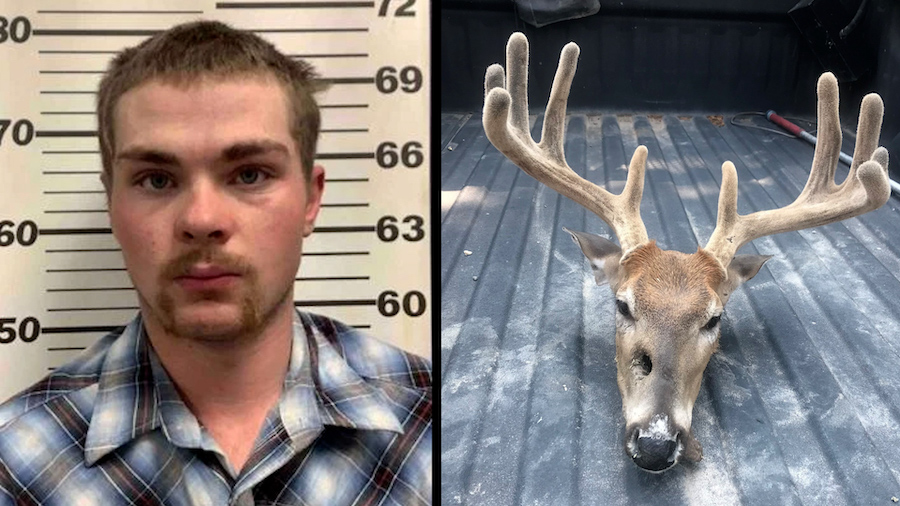 Man sentenced for multiple wildlife crimes, banned from hunting for life - Vimarsana News