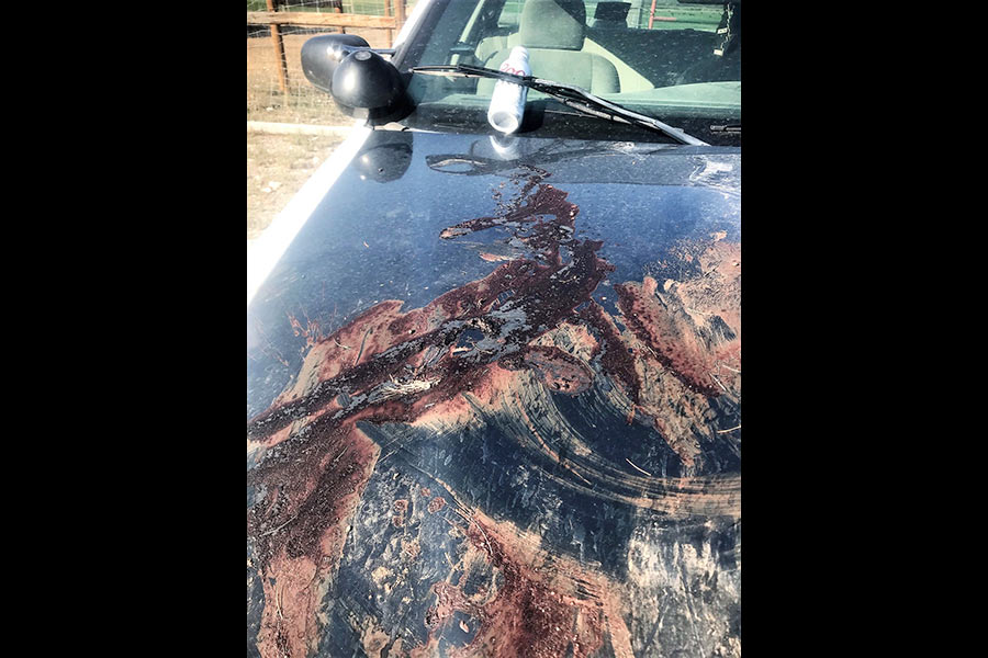 Trespassing call leads to more than 50 wildlife charges against 5 Idaho men - Vimarsana News