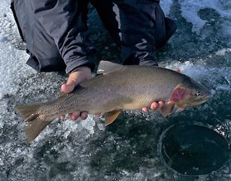 Henrys Lake is ready for the cold footers - East Idaho News - Vimarsana News
