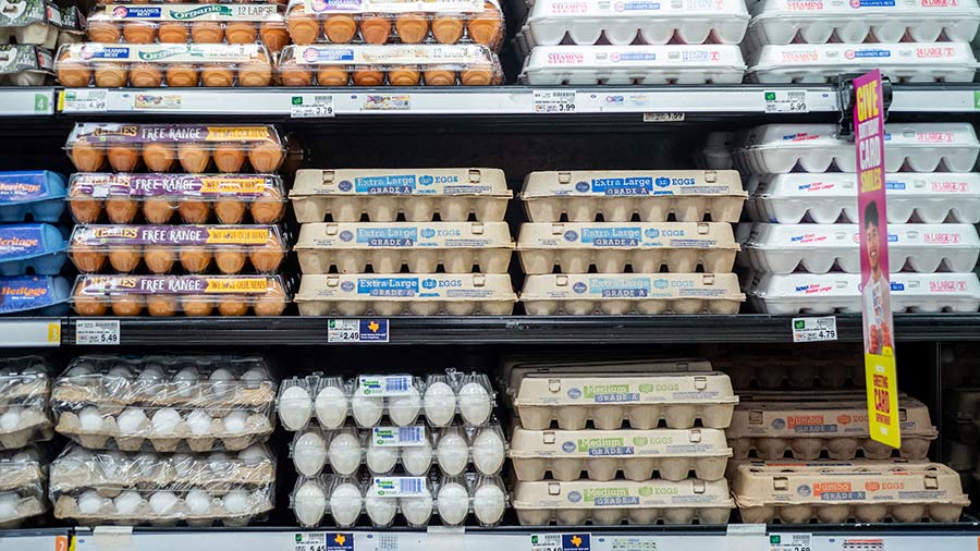 Why eggs have been so expensive this year - East Idaho News - Vimarsana News