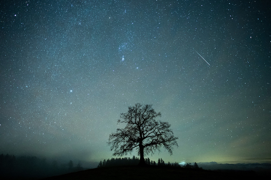 Mark your calendar for the strongest meteor shower of the year East Idaho News