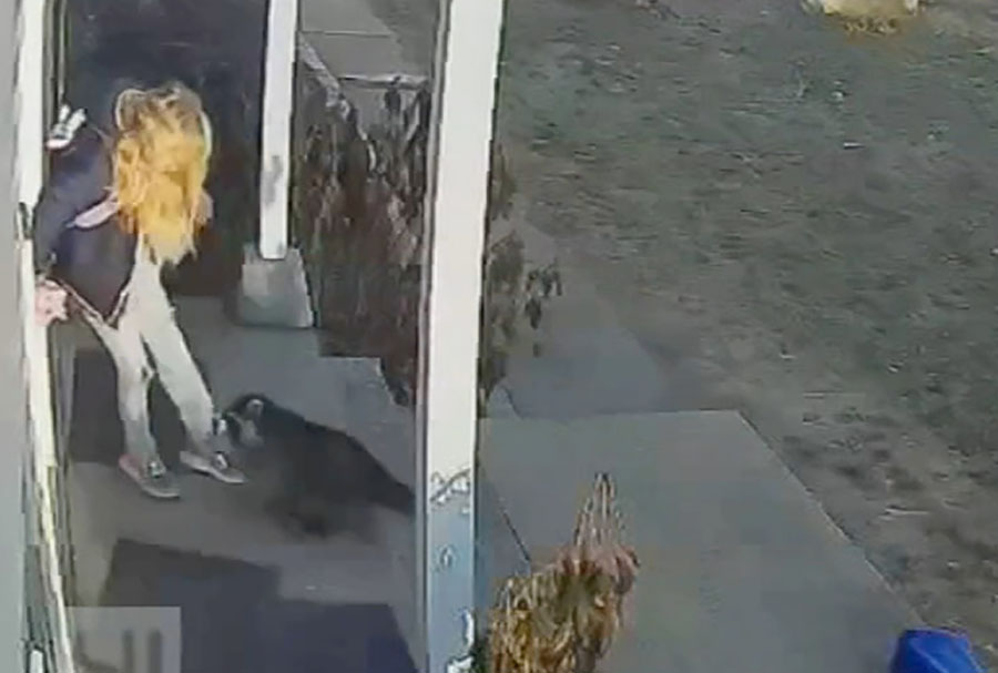 WATCH: Mom saves daughter being attacked by raccoon - Vimarsana News