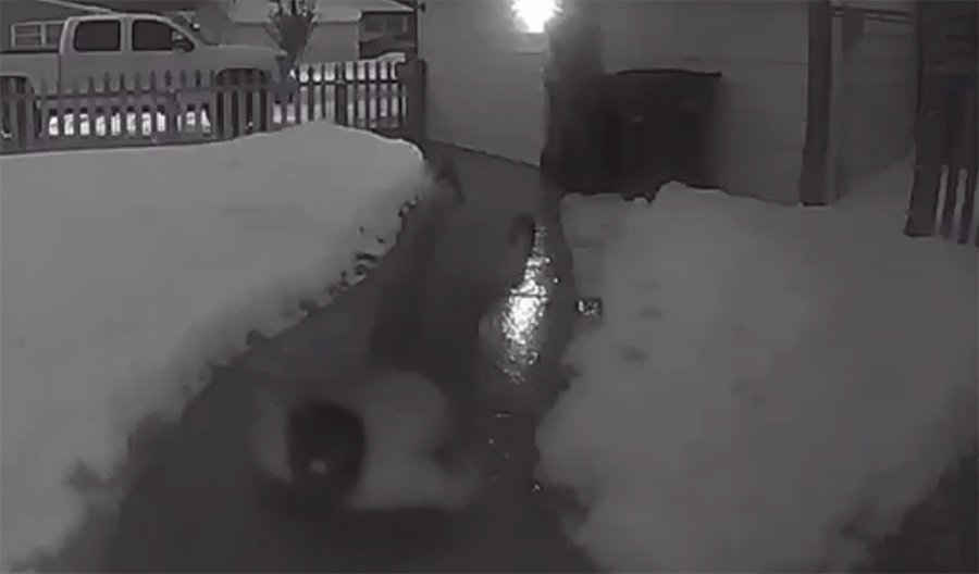 How to walk on ice without falling on your butt East Idaho News