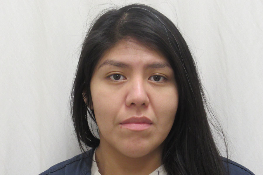 Blackfoot woman connected to several Pocatello burglaries charged with grand theft - Vimarsana News