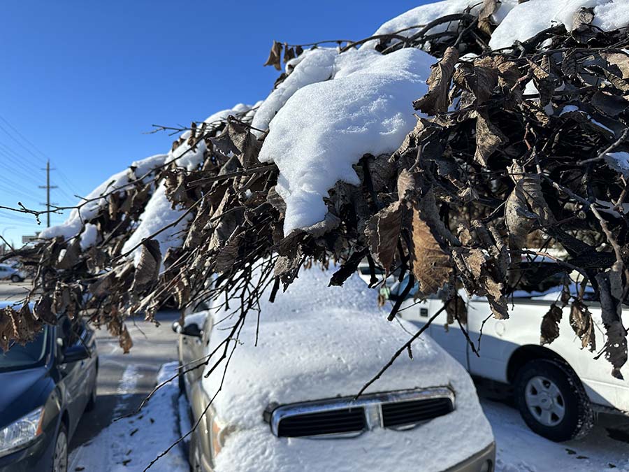 The cold weather isn't over yet as wind chill warning is extended until Tuesday - Vimarsana News