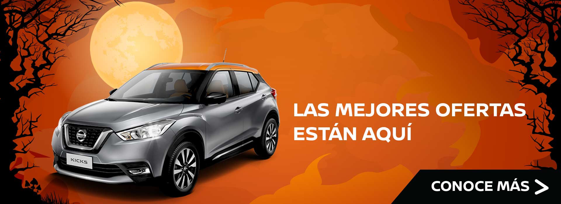 nissan.arvesa.