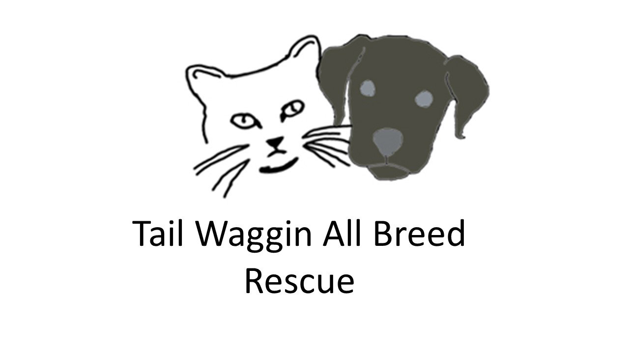 Organization's Logo