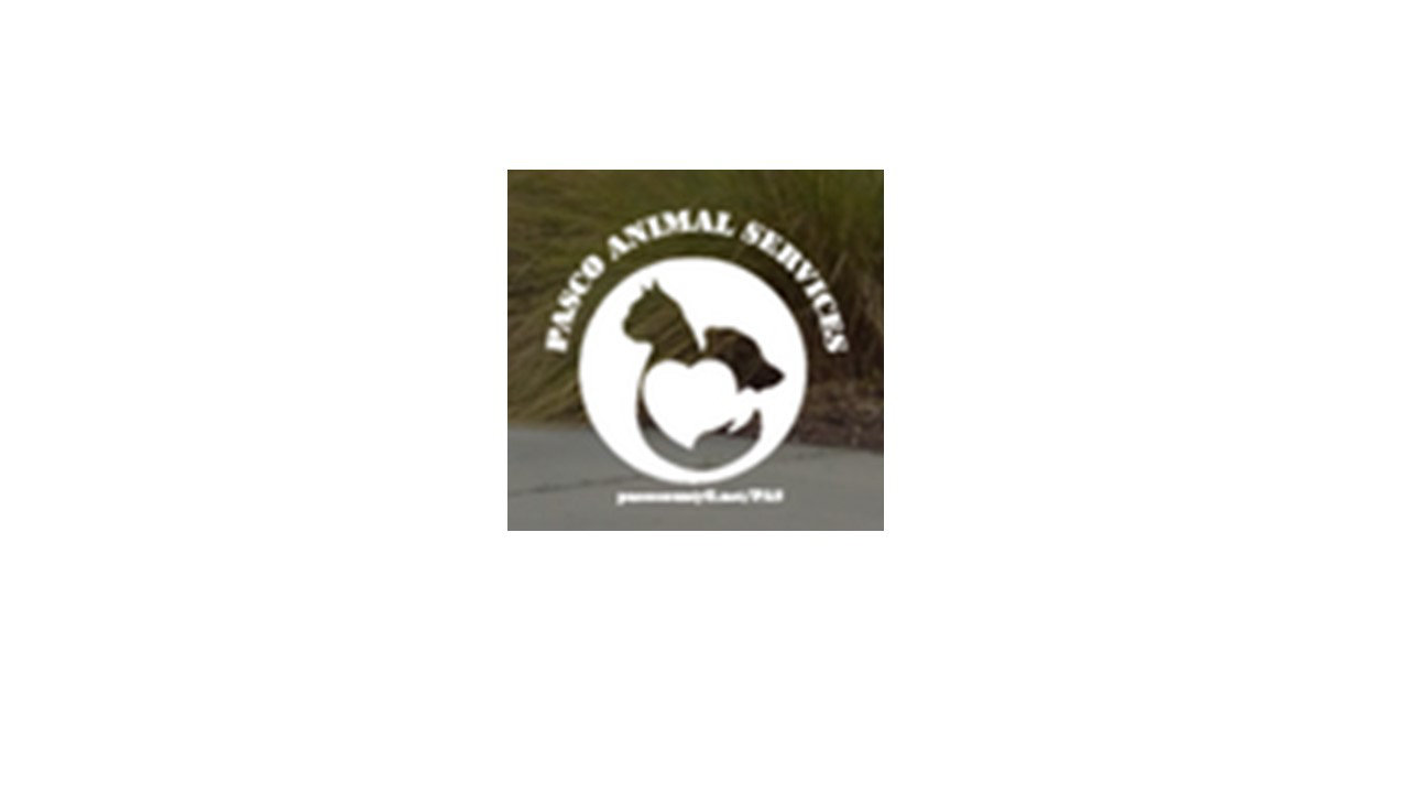 Organization's Logo