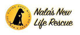 Organization's Logo