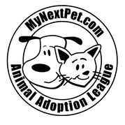 Organization's Logo