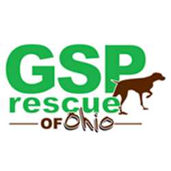 Organization's Logo
