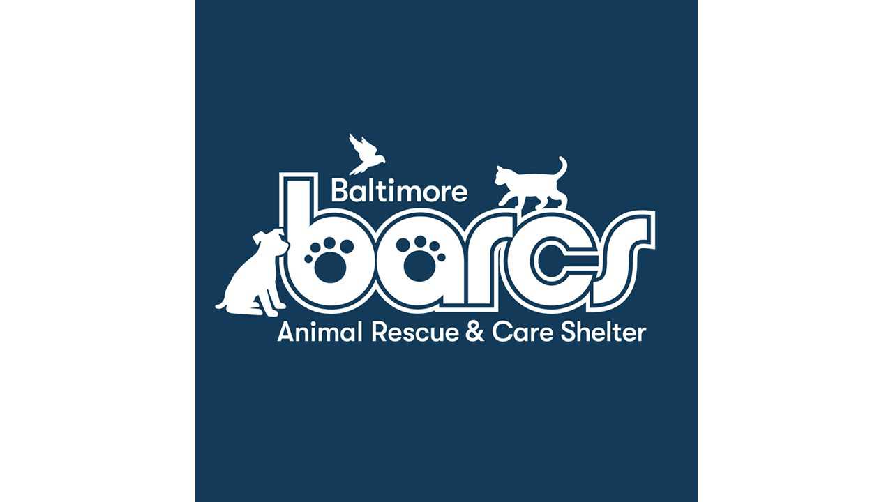 Organization's Logo