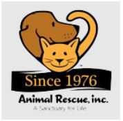 Organization's Logo