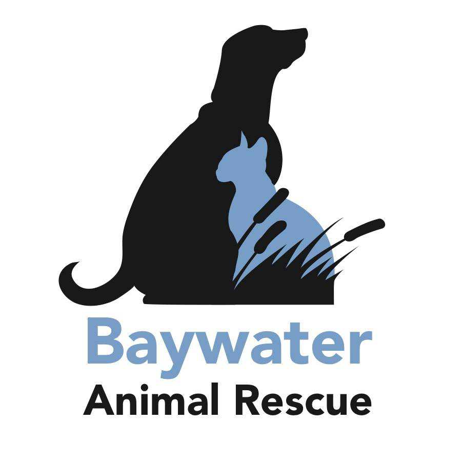 Organization's Logo