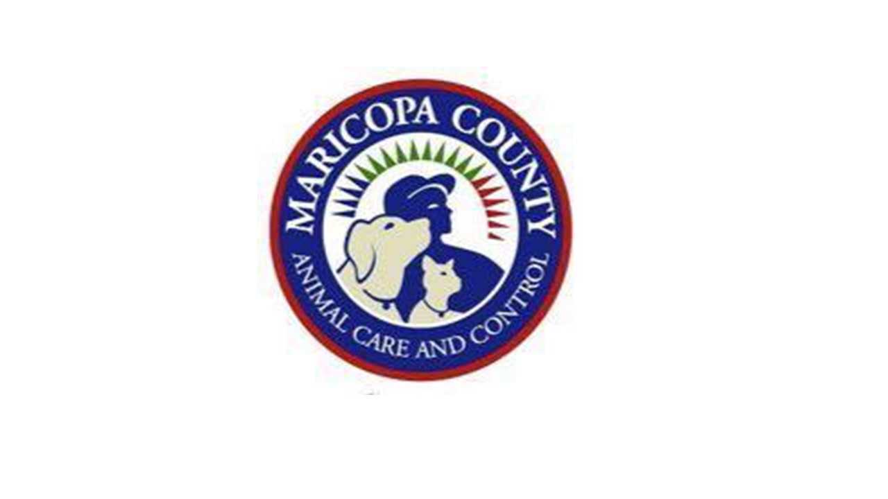 Organization's Logo