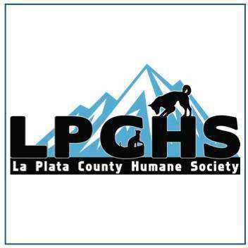 Organization's Logo