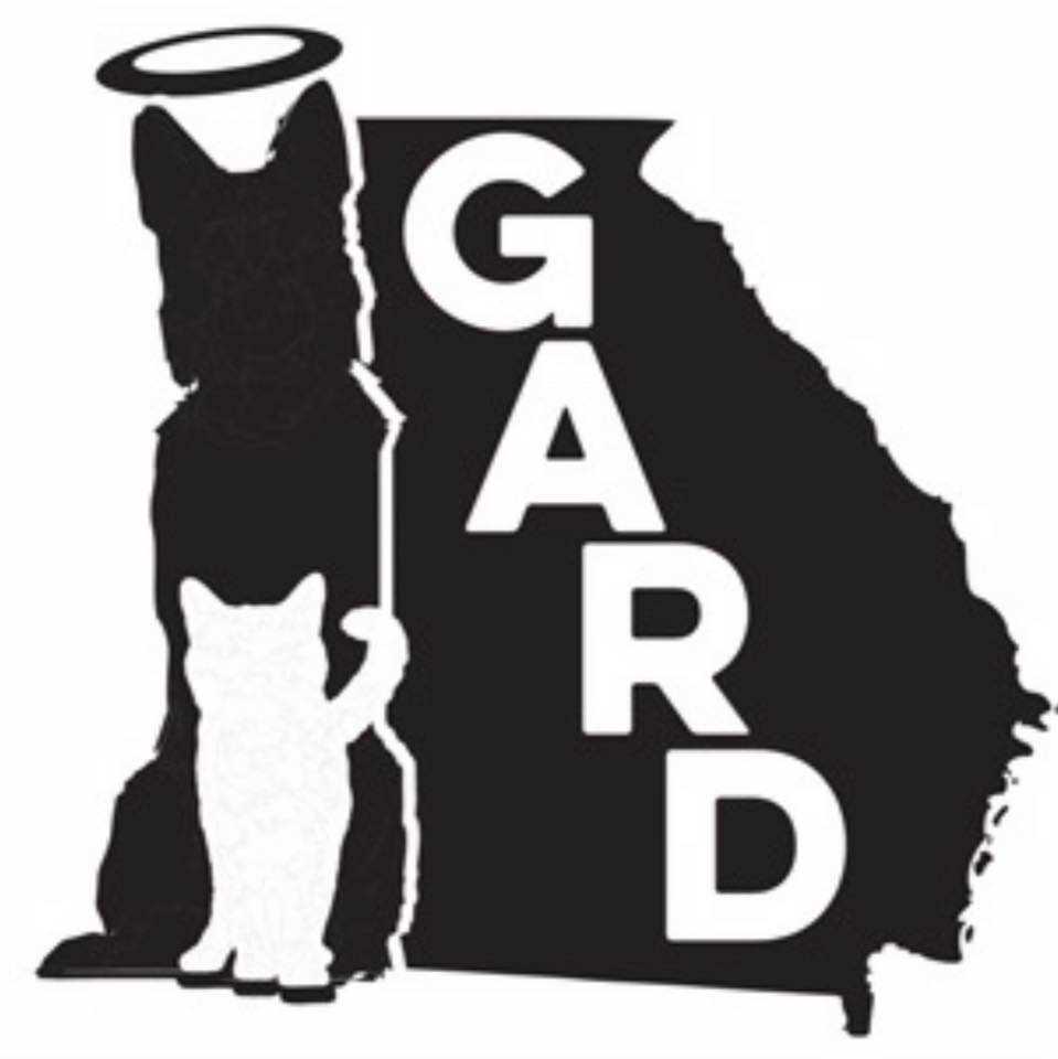 Organization's Logo