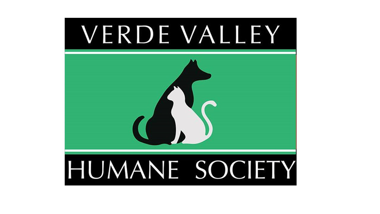 Organization's Logo