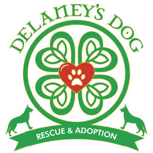 Organization's Logo