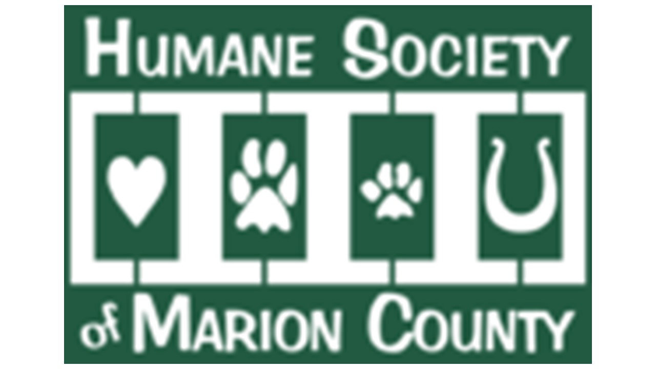 Organization's Logo