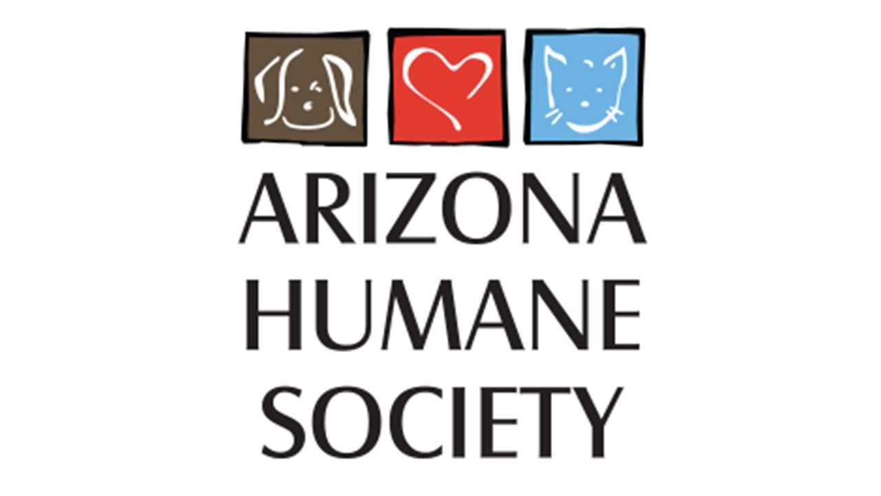 Organization's Logo