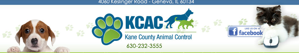 Organization's Logo