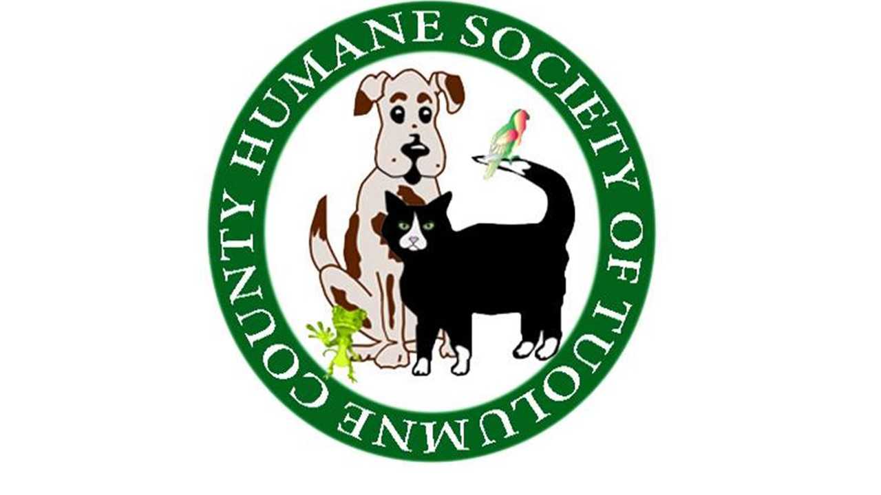 Organization's Logo