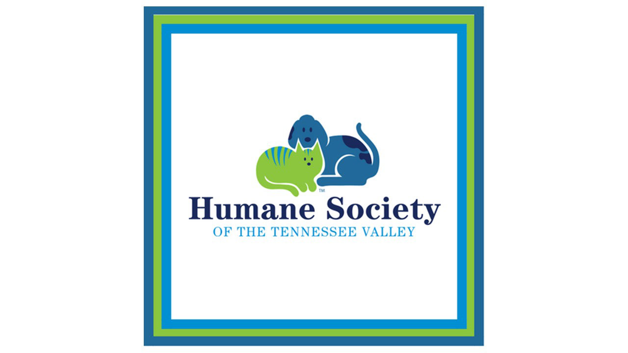 Organization's Logo