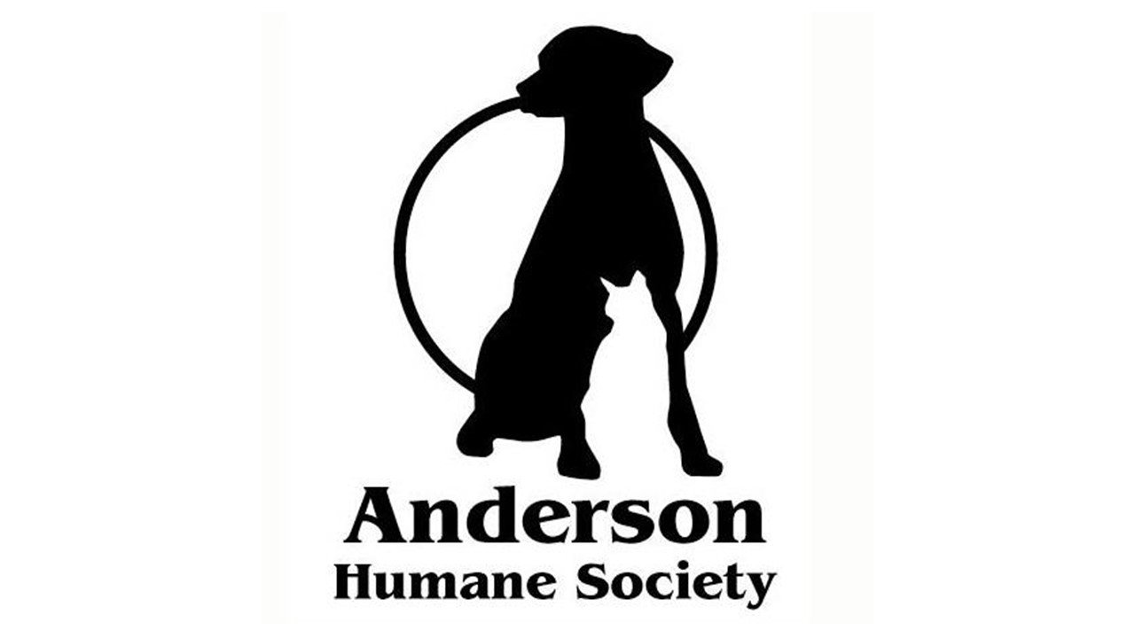 Organization's Logo